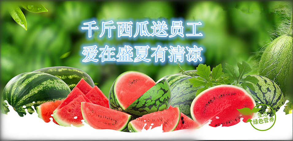 通達(dá)軟件公司： 千斤西瓜送員工，愛(ài)在盛夏有清涼